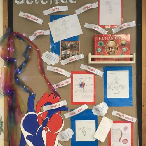Science Displays